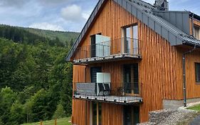 Apartman - Dolni Morava - 