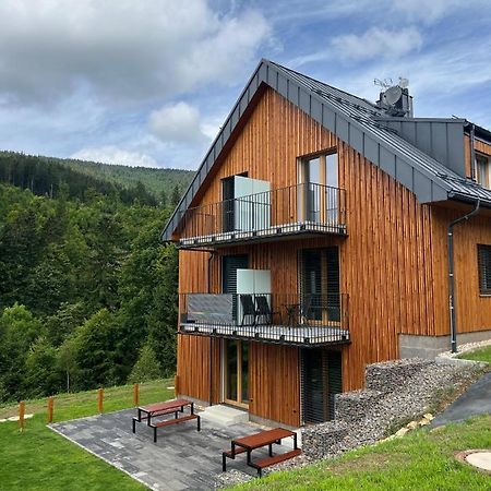 Apartman - Dolni Morava - "Sedmicka" Pro 2 Az 6 Osob Exteriér fotografie