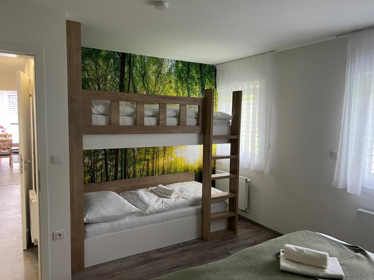 Apartman - Dolni Morava - "Sedmicka" Pro 2 Az 6 Osob Exteriér fotografie