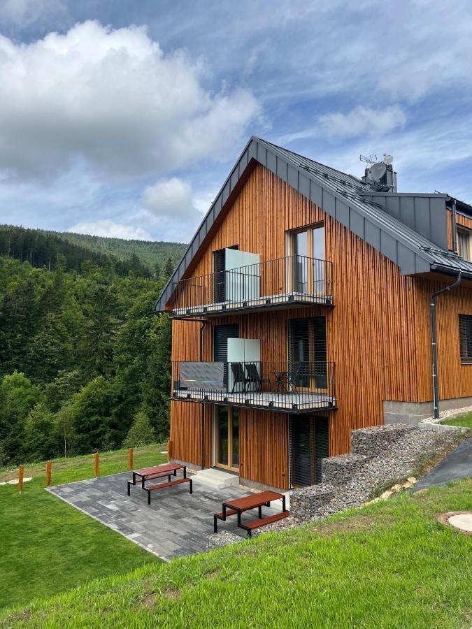 Apartman - Dolni Morava - "Sedmicka" Pro 2 Az 6 Osob Exteriér fotografie